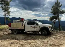 Wolf Rock Fire